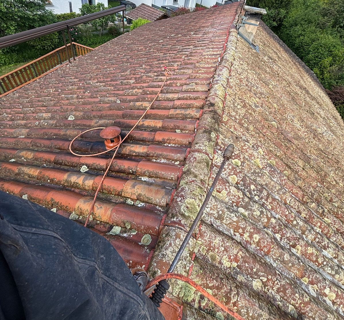 photo 2026 06 15 12 36 29